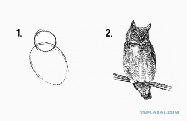 Как побить боксера и каратиста на улице:советы инструктора спецназа