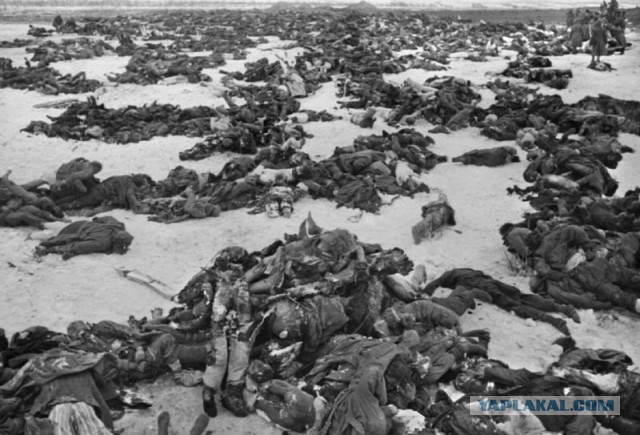 23 августа 1942 массированный налет Люфтваффе