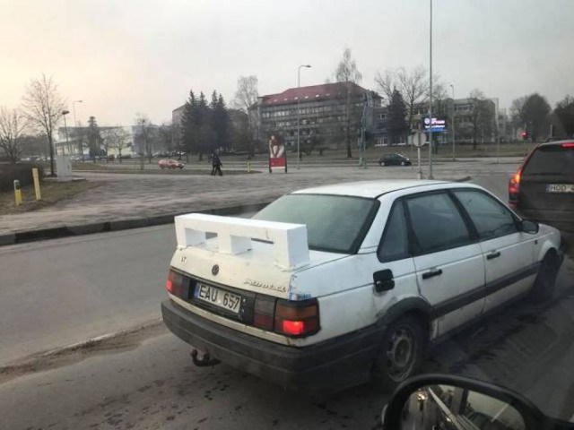Подборка безудержного веселья