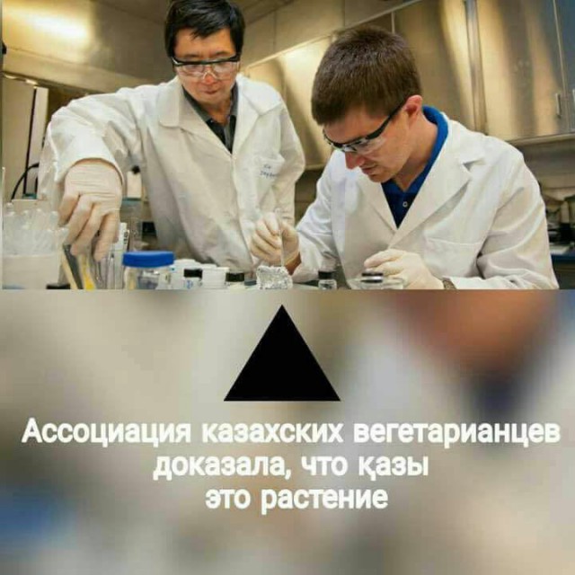 Деградации ЯПу