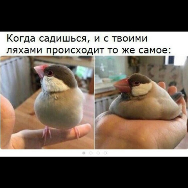 Странности & баяны