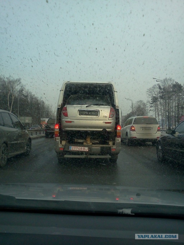 Кого только не встретишь по дороге домой
