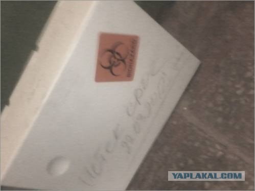 Выходные удались. ПЯТНИЦЦО