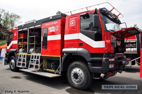 Пожарка котопес