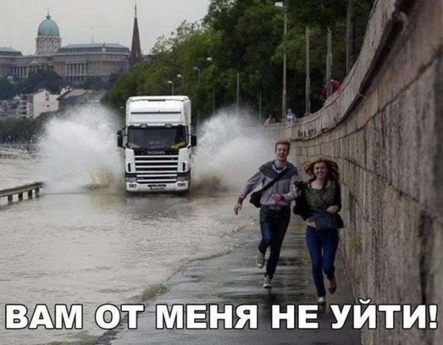 Пришли на водопой