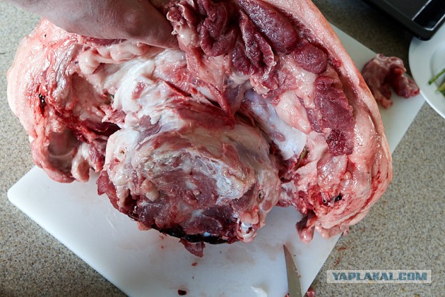 Уголок гастронома... Porchetta di Testa.