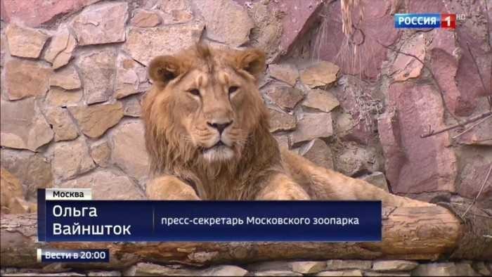 Удивительные снимки с российских просторов 30.06.19