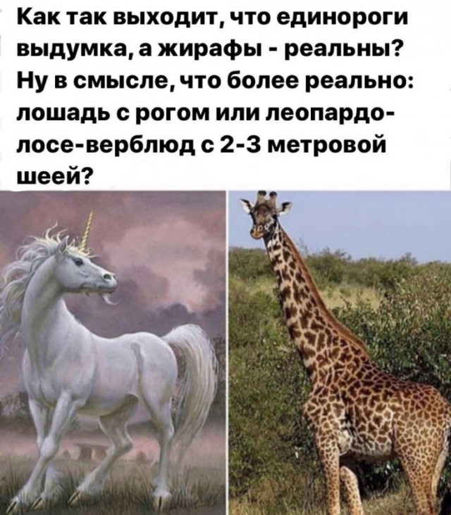 Немного картинок для настроения