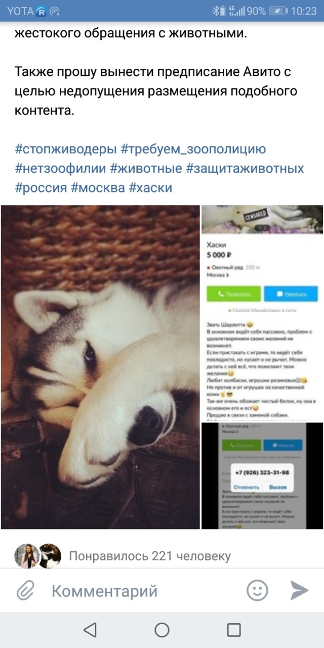 Помогите вернуть кота! Приют "Преданное сердце" украл кота и не отдает!