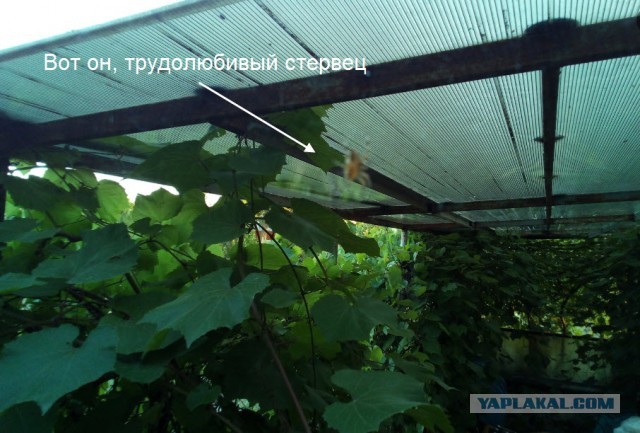 Знакомство