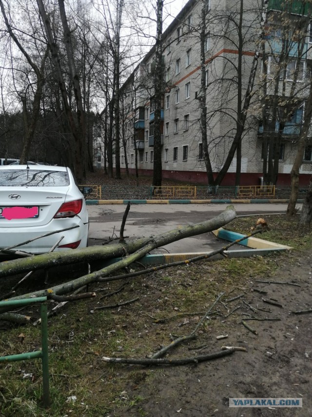 "Лютый ветер в Москве" и его последствия