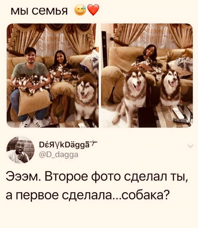 Картинки с надписями фразы и анекдоты