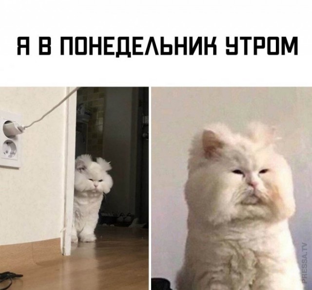 Картинки и мемы для настроения 030