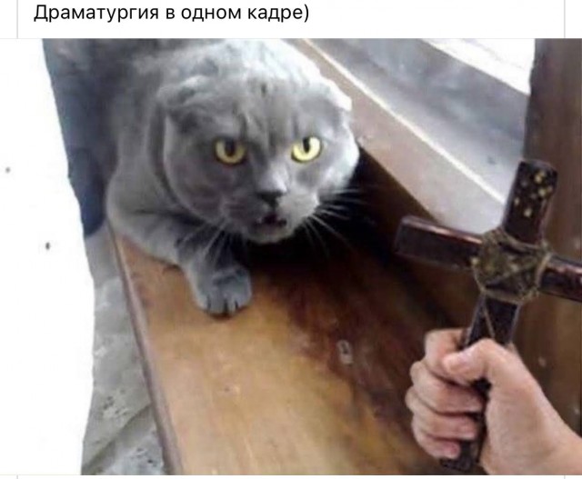 Картинки всяческие 02.06.2021