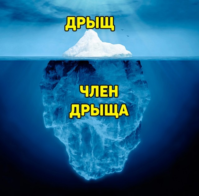 Весёлый полтишок 20.07