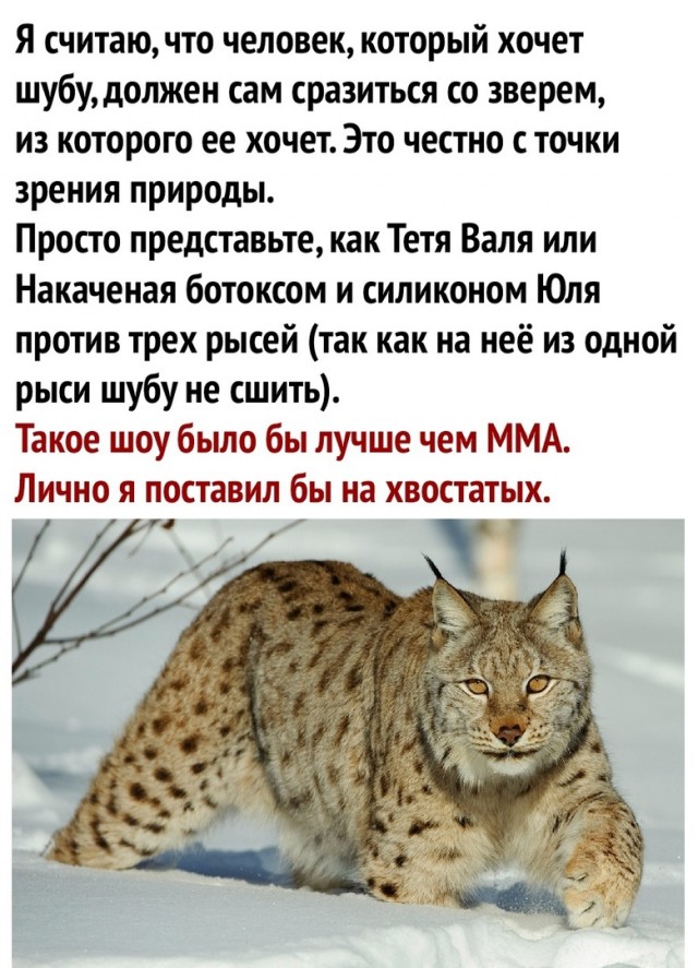 Чуток картинок 09.12.21