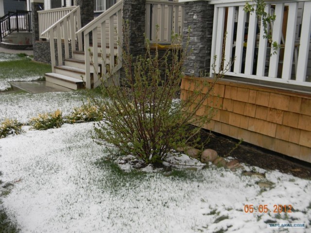 Это Калгари,сынок.