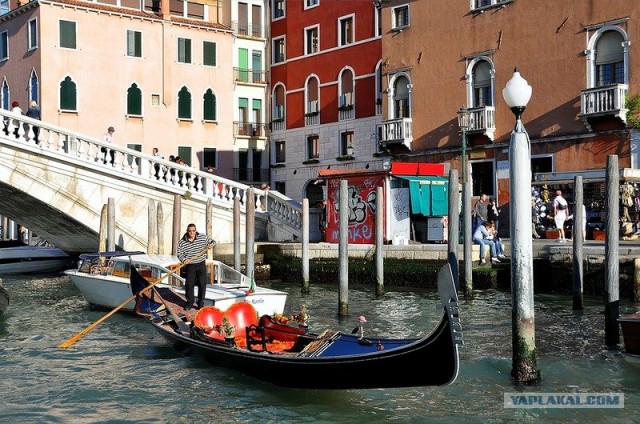 Любовь с первого взгляда