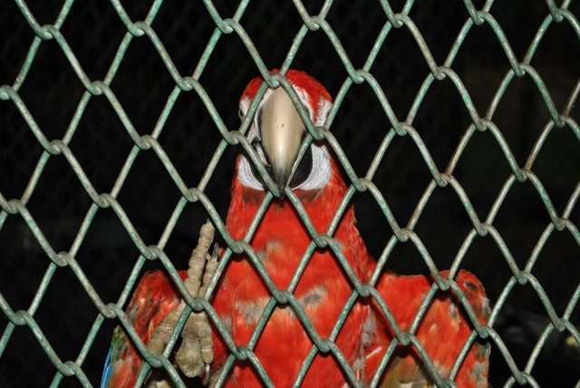 Тайланд: Бангкок, Паттайя, Ко Самет