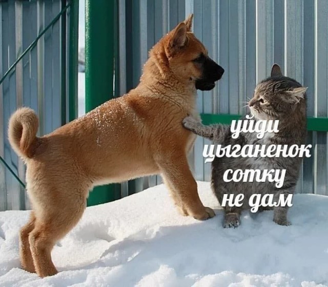 Всего понемногу. Часть 7