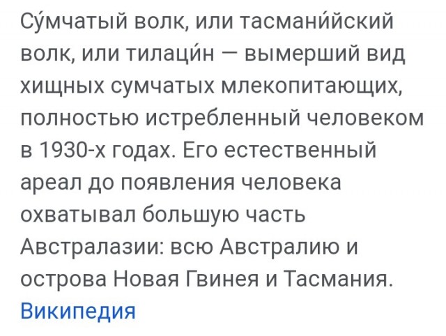 Интересные и редкие ретро-фотографии 06.03.23
