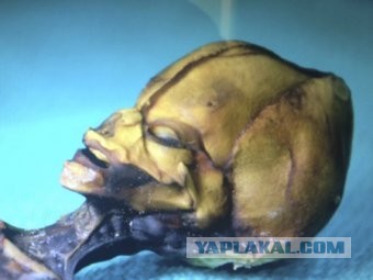 Документальный фильм "Сириус" докажет, что