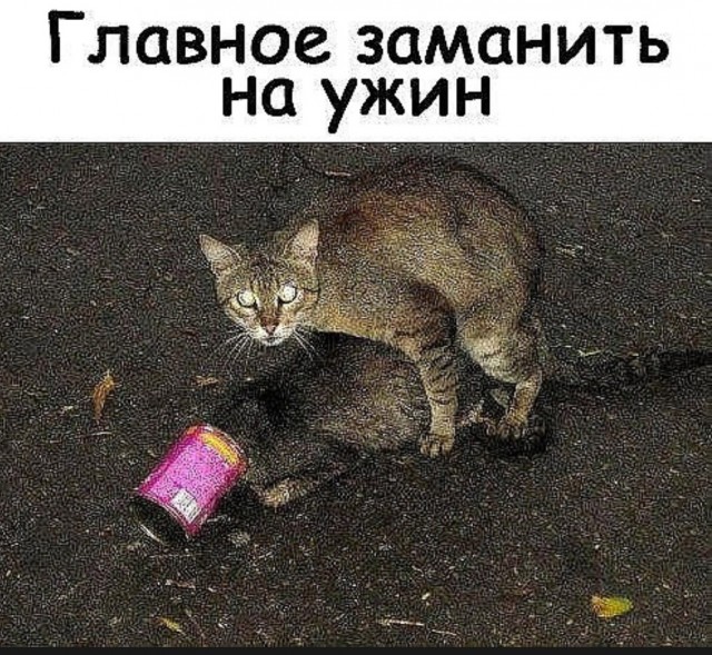 Поздний ужин сильной независимой женщины