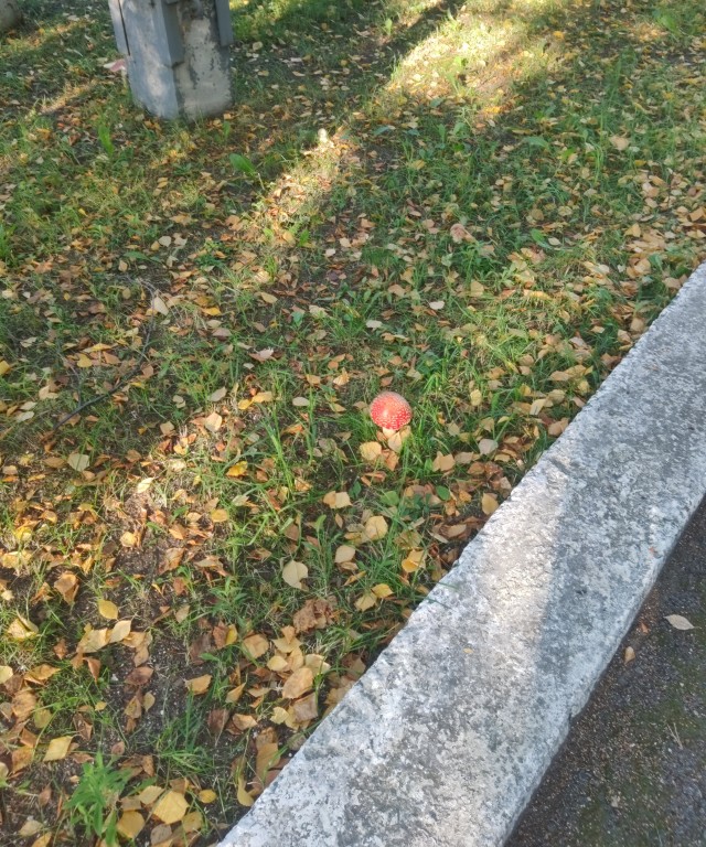 Не могу любить мужчину без денег