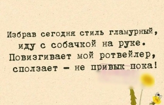 Весёлый полтишок 08.09.23
