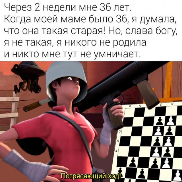 Весёлый полтишок 15.09.23