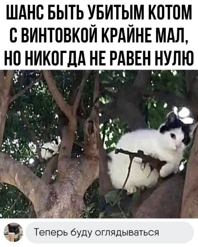 Так себе картинки 22.10.23