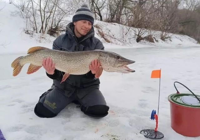 Зимняя удача