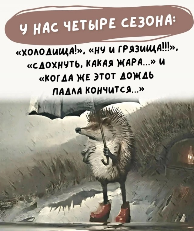 Завалялось тут случайно немного забавных картинок