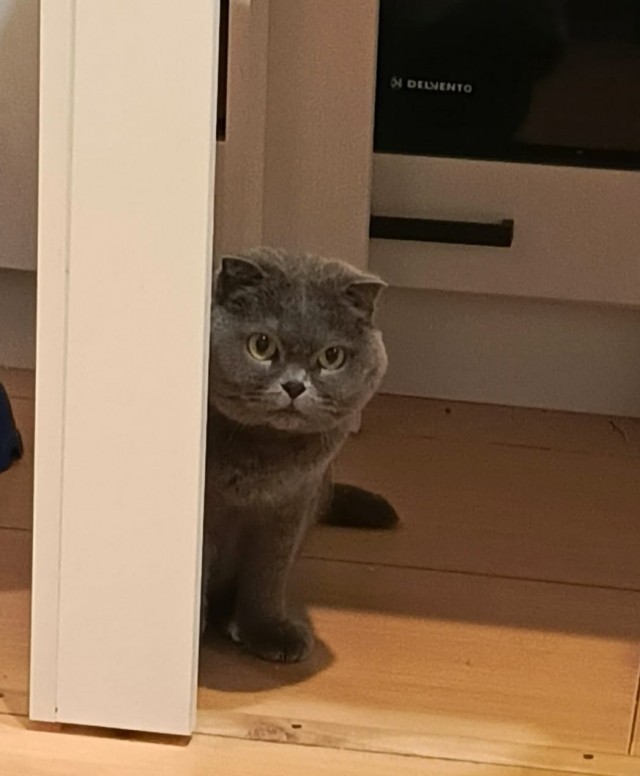 Ну а что? Мне понравилось...