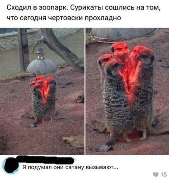 Завалялось тут случайно немного забавных картинок