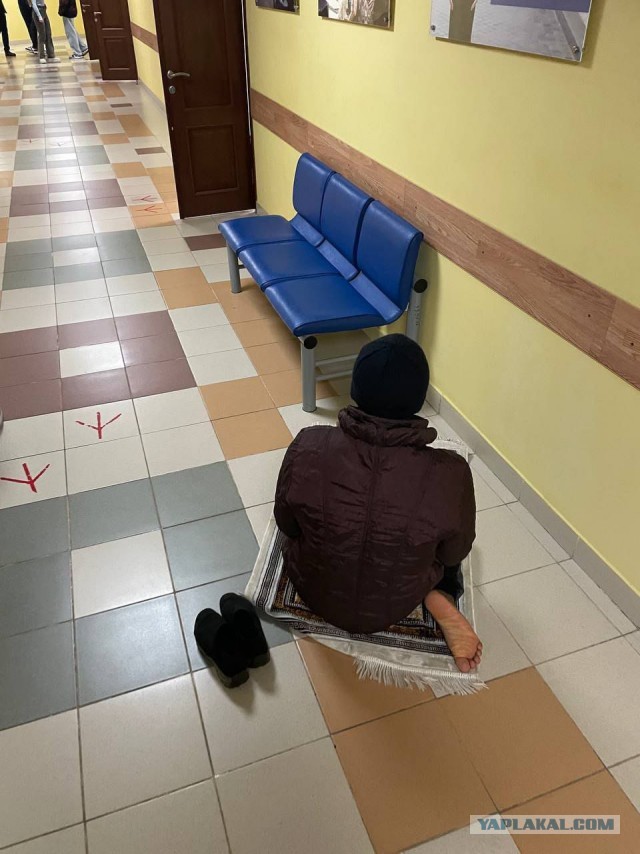 Хорошие новости про мигрантов