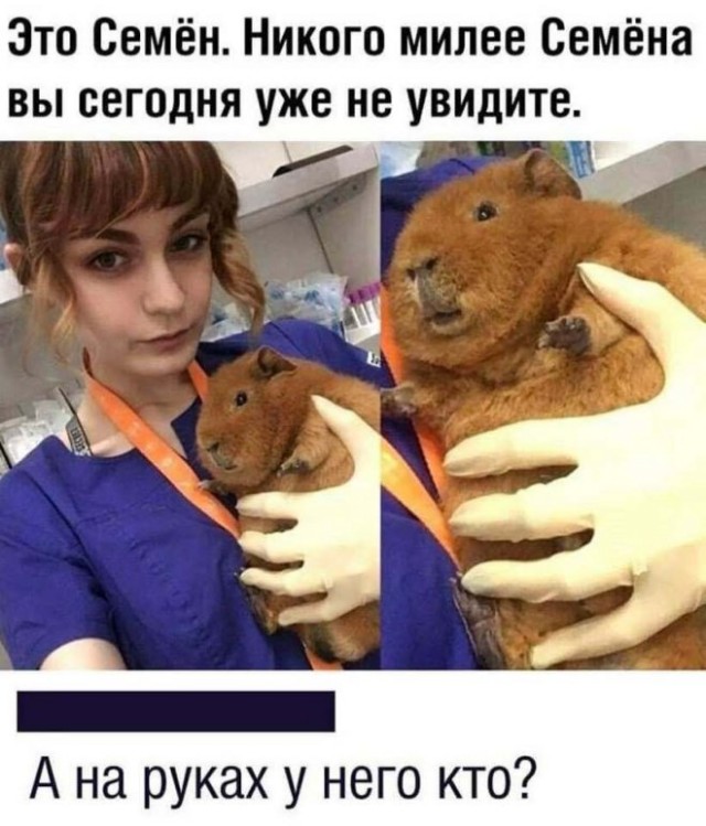 Веселые картинки в маленькую пятницу (21.05)