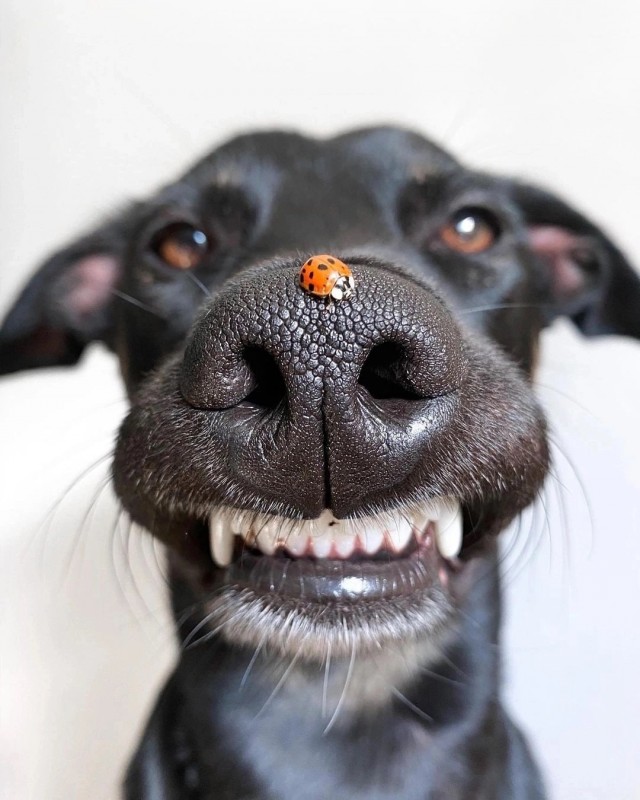 Мир другими глазами