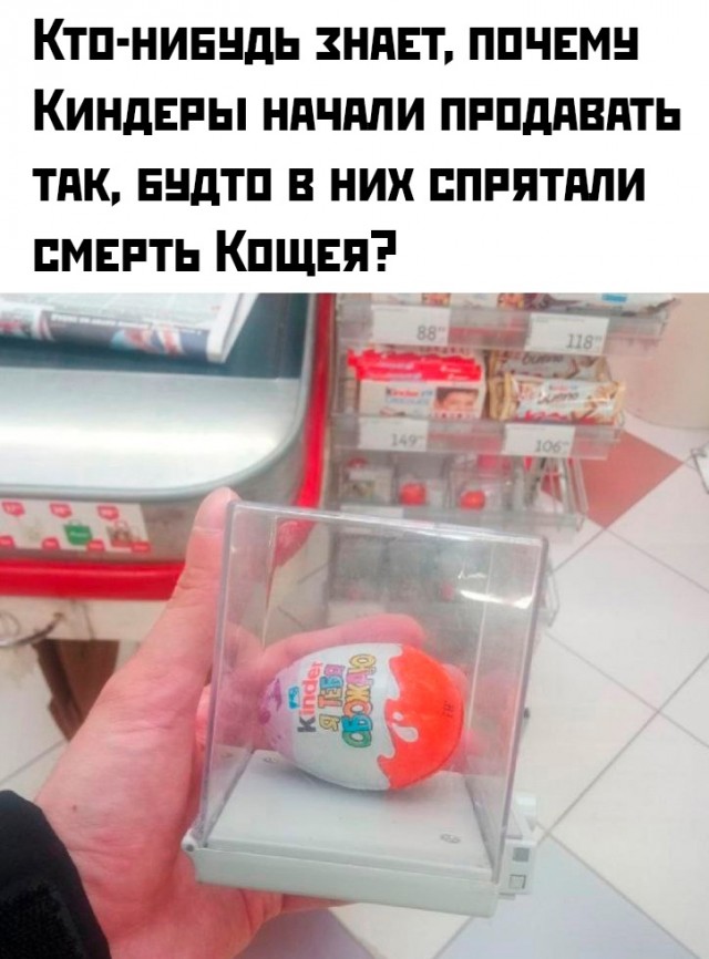 Весёлый полтишок 13.07.25