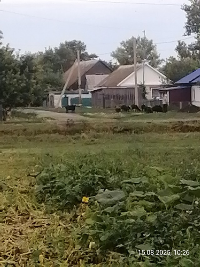 Вот моя деревня, вот мой дом родной...