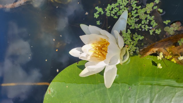 Сплав по верховью Илети на пакрафтах.