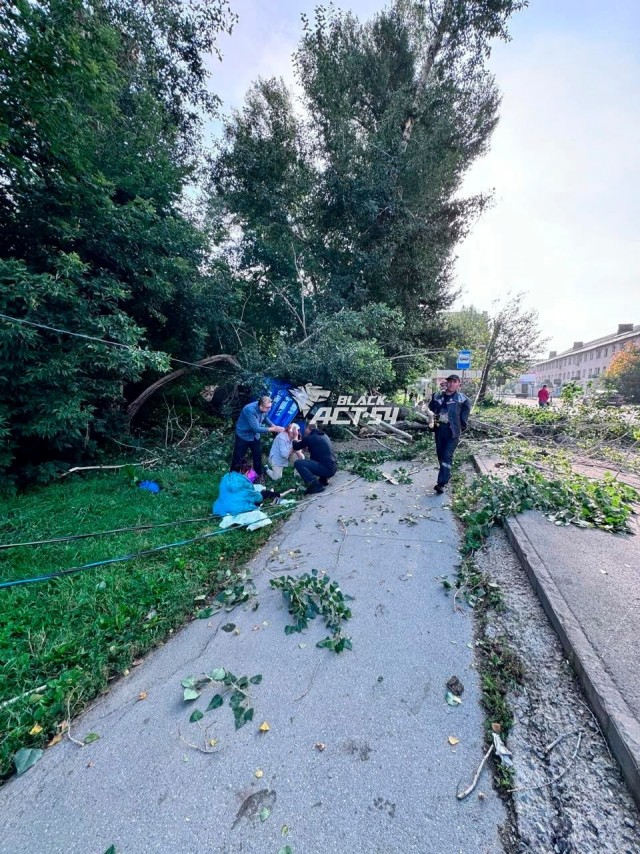 Упавшее дерево придавило людей на остановке в Новосибирске. Пострадали 3 человека.