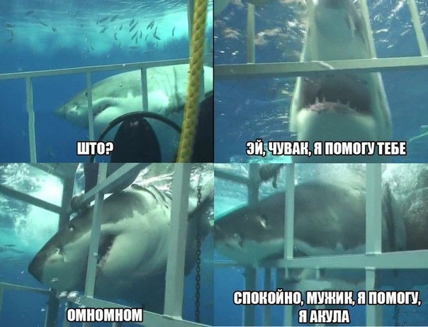 Акула спешит на помощь!