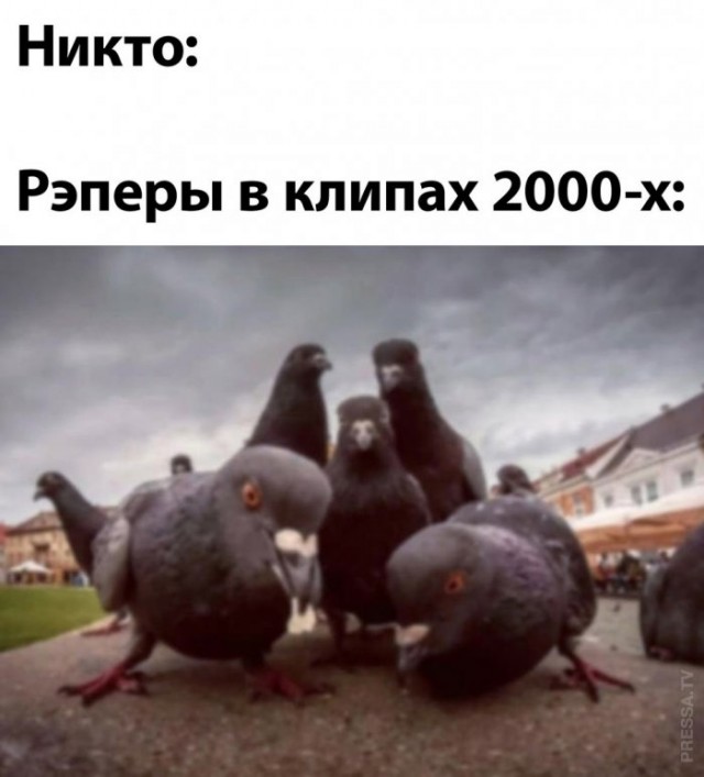 Веселые картинки в понедельник (12.01)