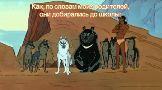 В Карелии ребенку разрешили опаздывать на уроки из-за того, что он ходит в школу по дороге с волками