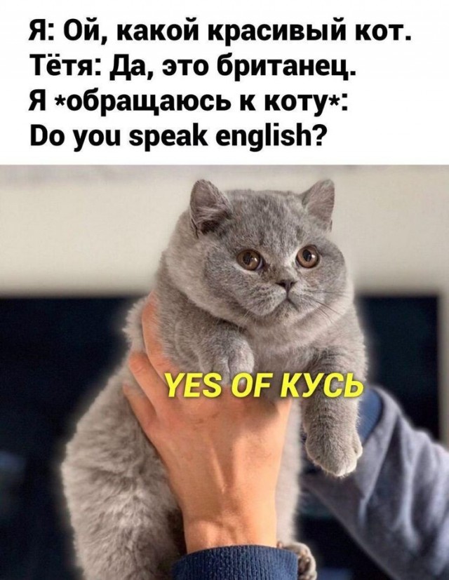 Сейчас укушу и успокоюсь