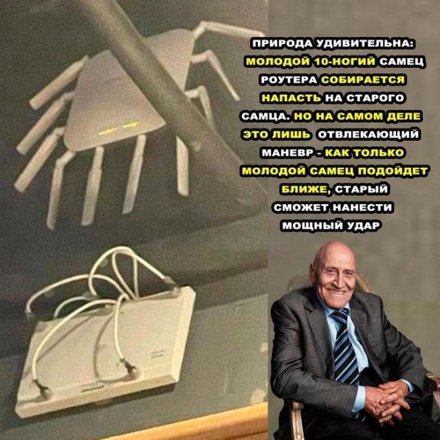 А засоветуйте роутер