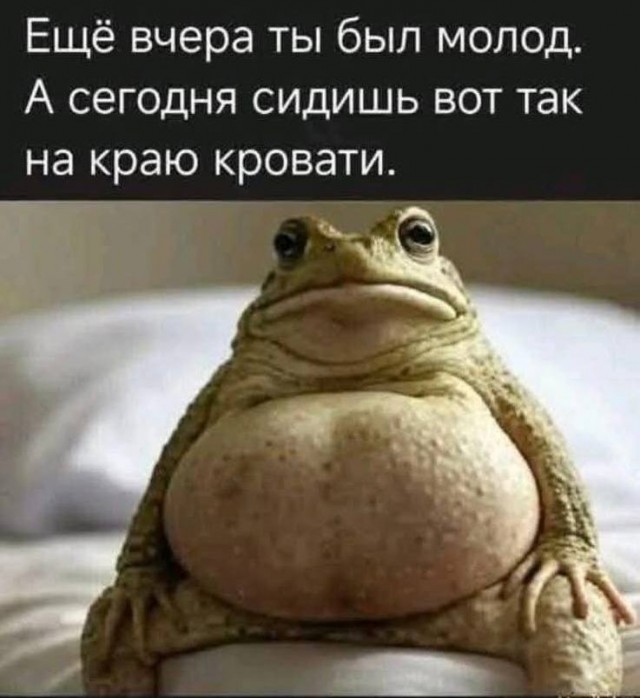 Картинки для деградации 184 (разной степени свежести)