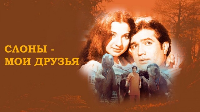 Слоны радуются встрече с мужчиной после 14 месяцев разлуки