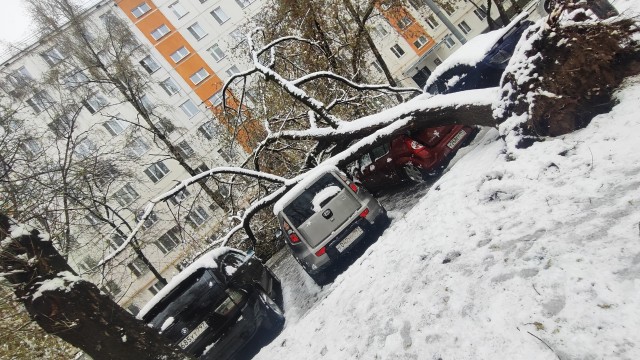 Утро в Москве